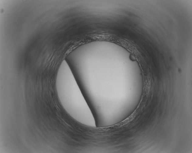 X0000083560749200702090814
