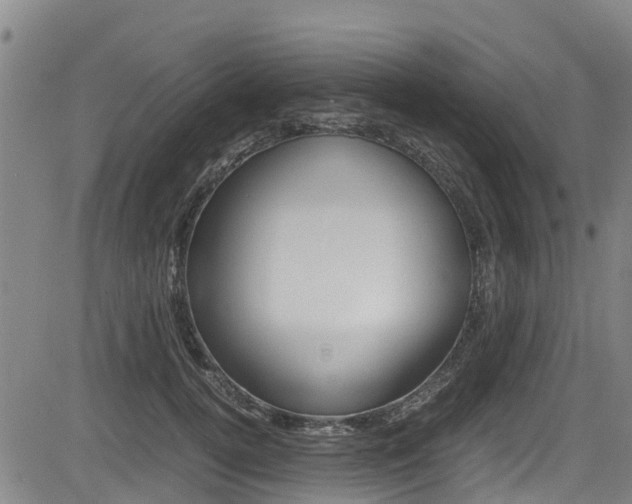 X0000083560752200702090814