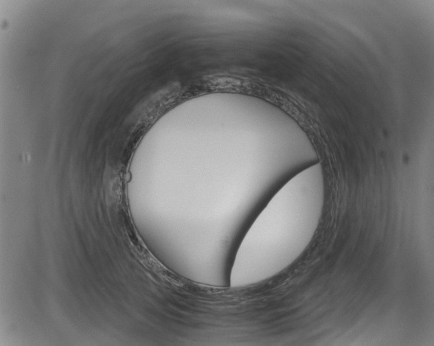 X0000083560753200702090814