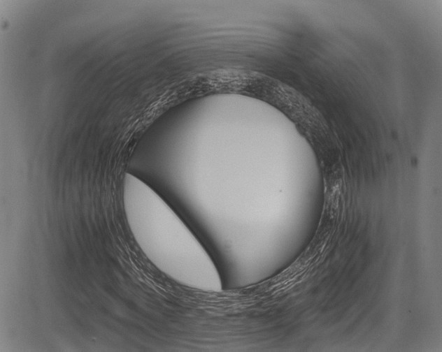 X0000083560772200702090814