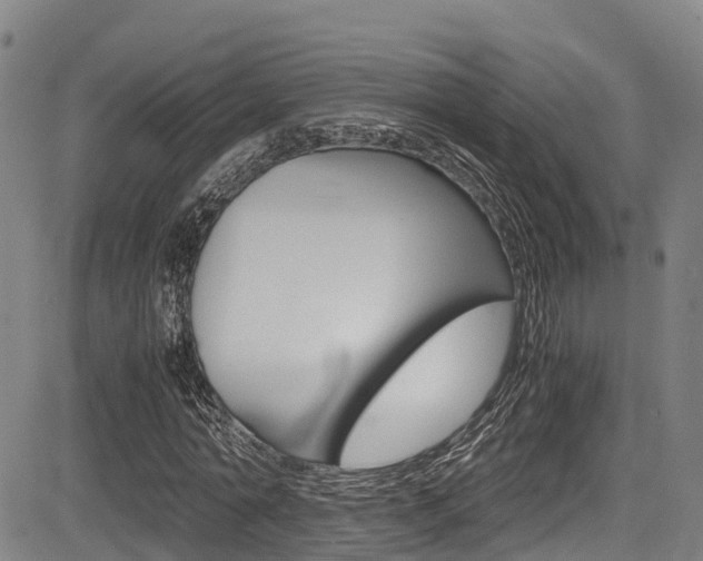 X0000083560774200702090814