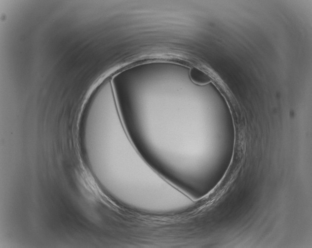 X0000083560787200702090814