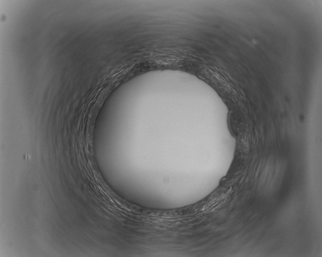 X0000083560817200702090812