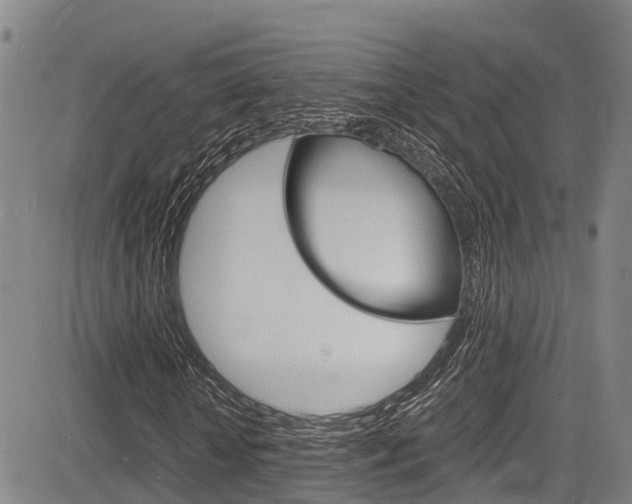 X0000083560818200702090812