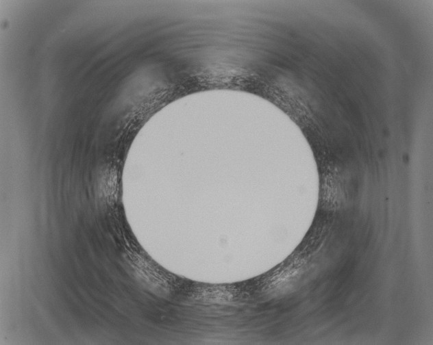 X0000083560820200702090812