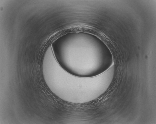X0000083560822200702090812