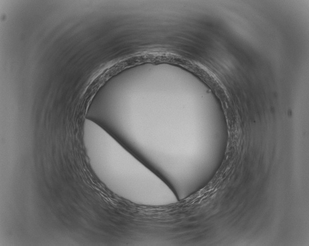 X0000083560823200702090812