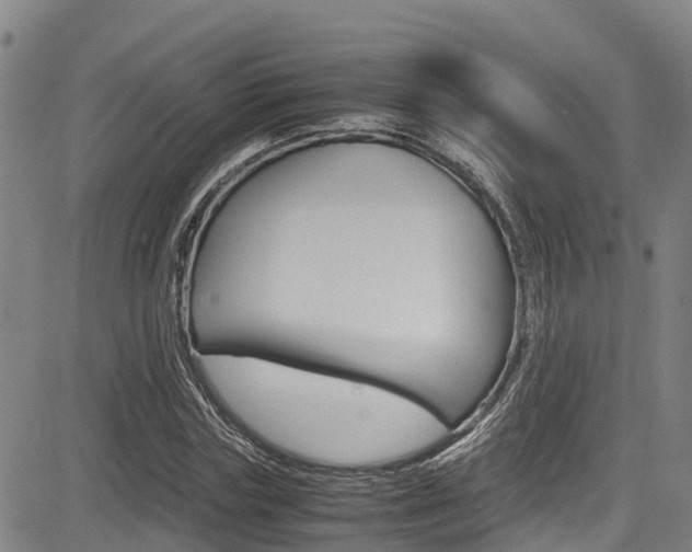 X0000083560827200702090813