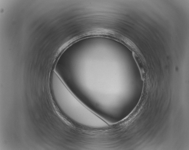 X0000083560842200702090813