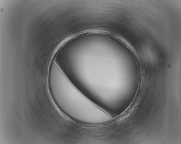 X0000083560853200702090813