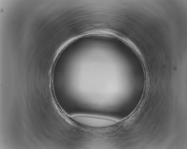 X0000083560862200702090813