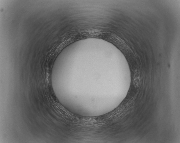 X0000083560866200702090812