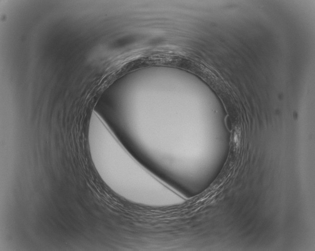 X0000083560867200702090812