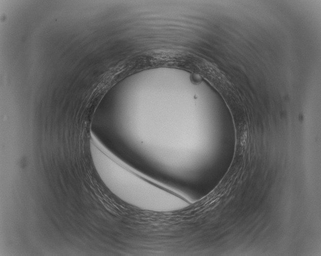X0000083560868200702090812