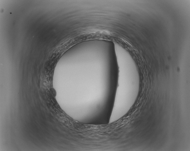 X0000083560869200702090812