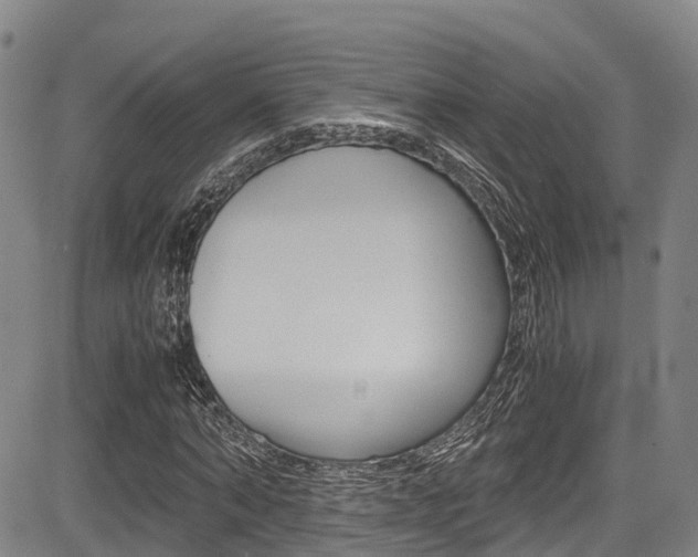 X0000083560870200702090812