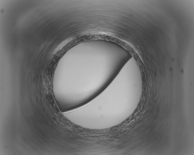 X0000083560871200702090812
