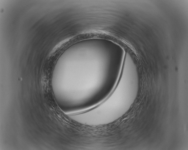 X0000083560872200702090812