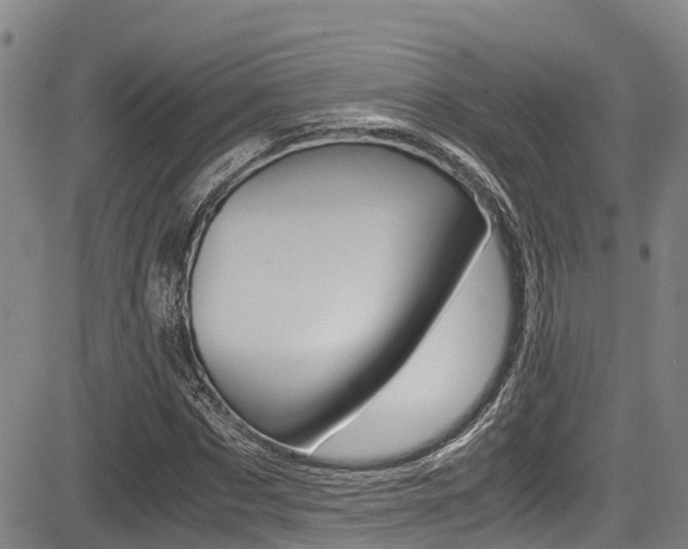 X0000083560873200702090812