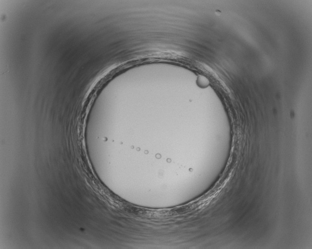X0000083560875200702090812