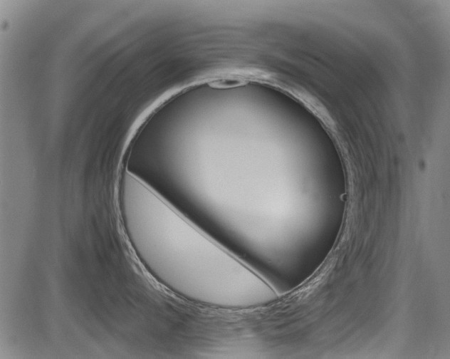 X0000083560912200702090812
