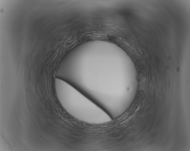 X0000083560913200702090811