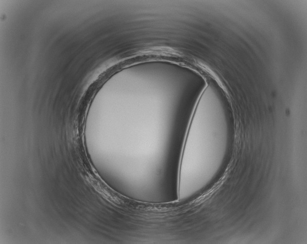 X0000083560923200702090811