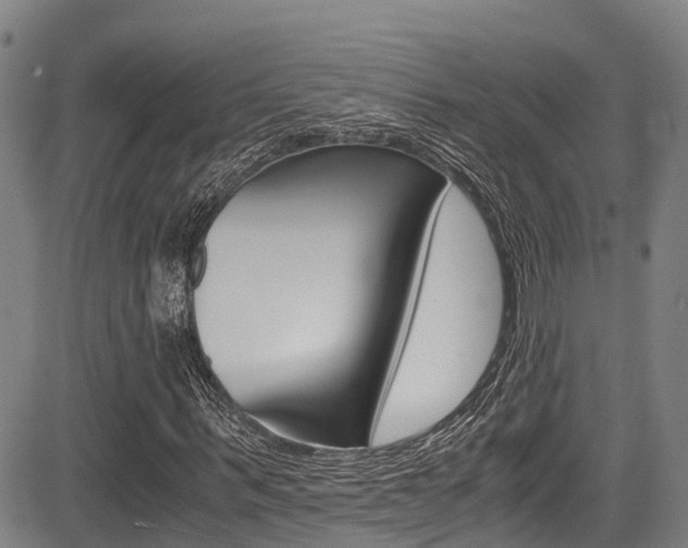 X0000083560963200702090811