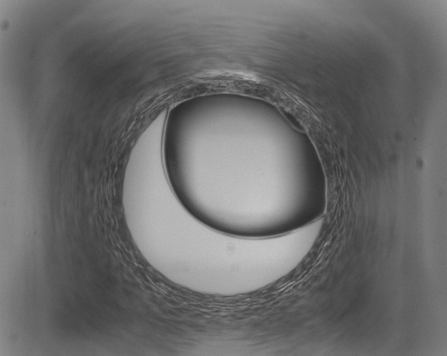 X0000083560965200702090811