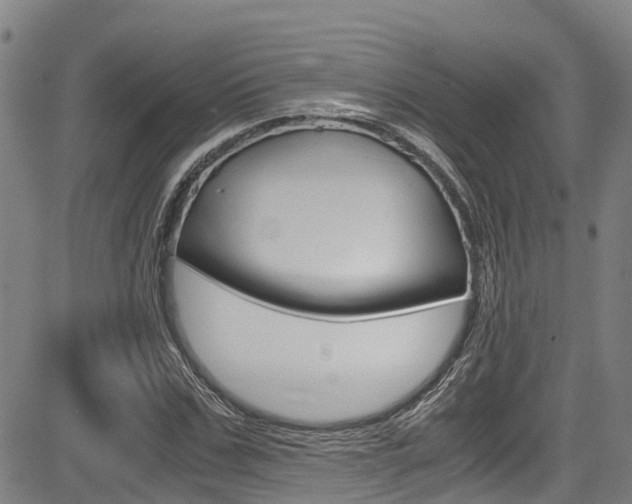 X0000083560971200702090811