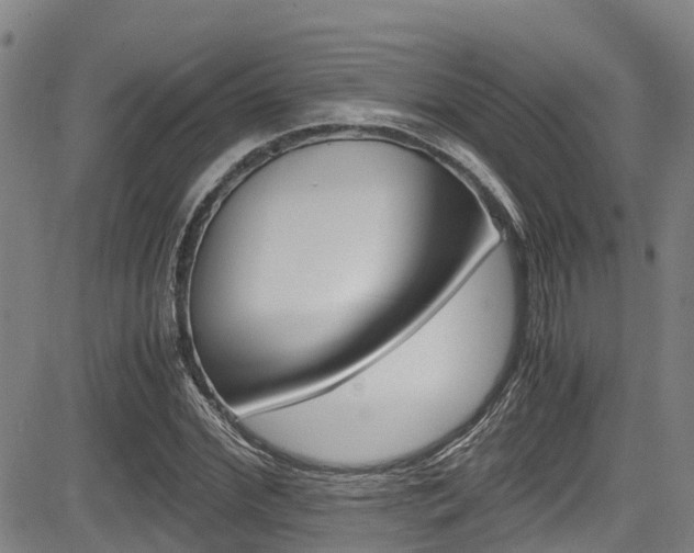 X0000083560972200702090811