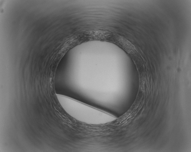 X0000083561010200702090809