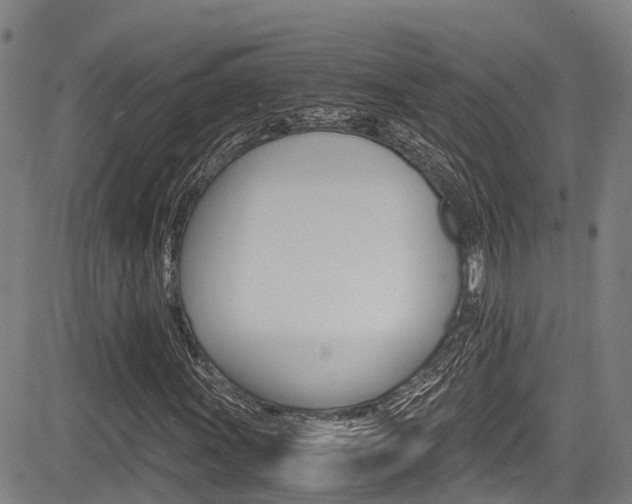 X0000083561011200702090809