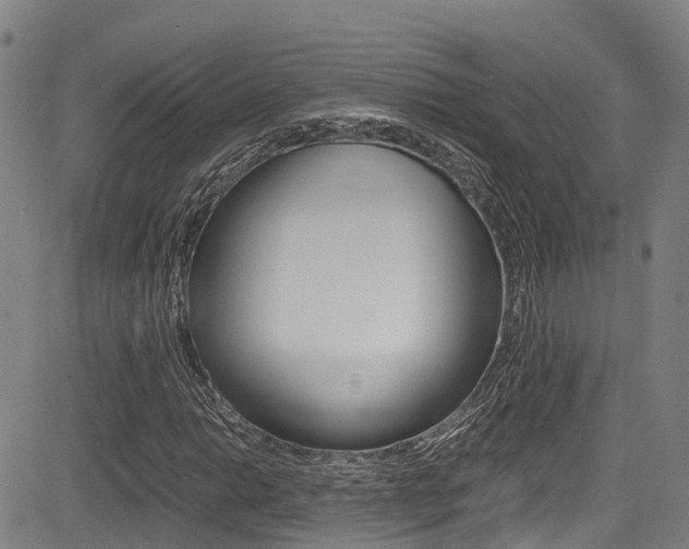 X0000083561014200702090809