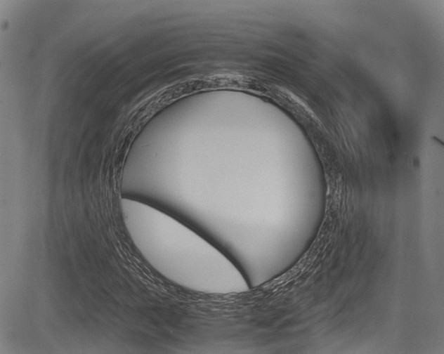 X0000083561015200702090809