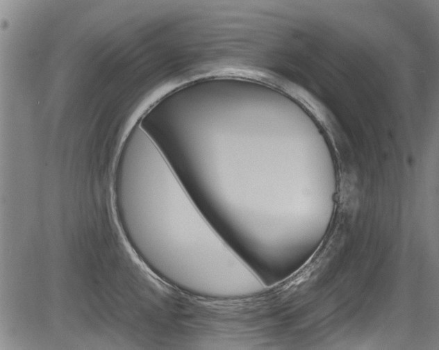 X0000083561048200702090810
