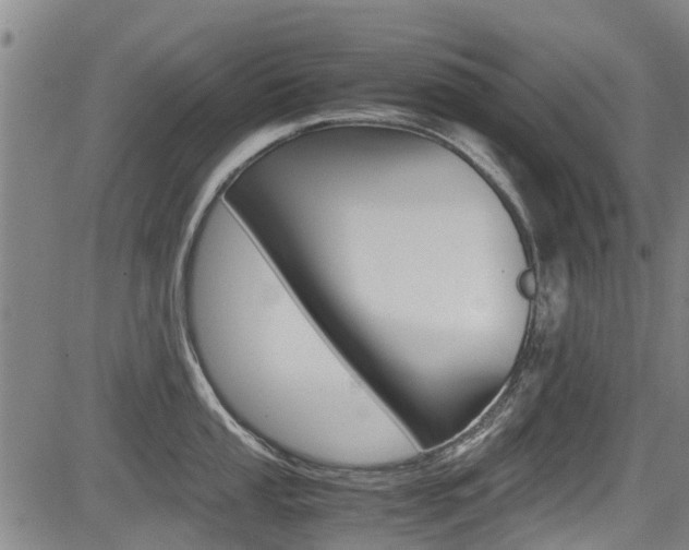 X0000083561053200702090810