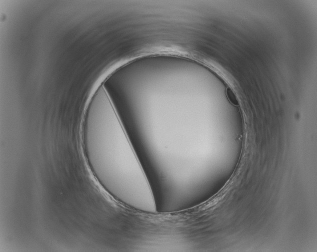 X0000083561056200702090810