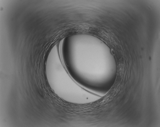 X0000083561057200702090809