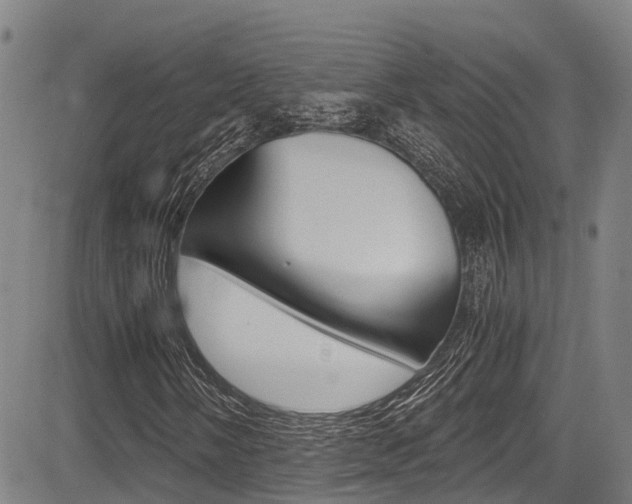 X0000083561058200702090809