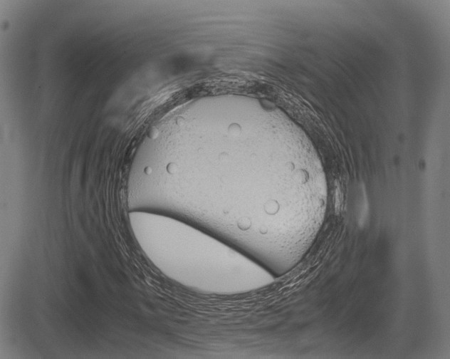 X0000083561059200702090809