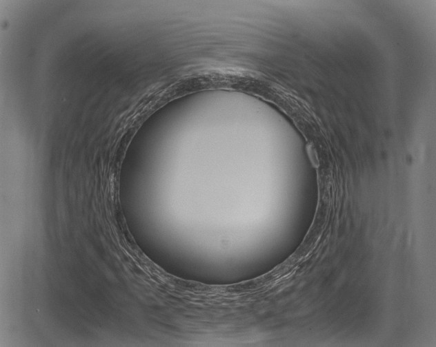 X0000083561061200702090809