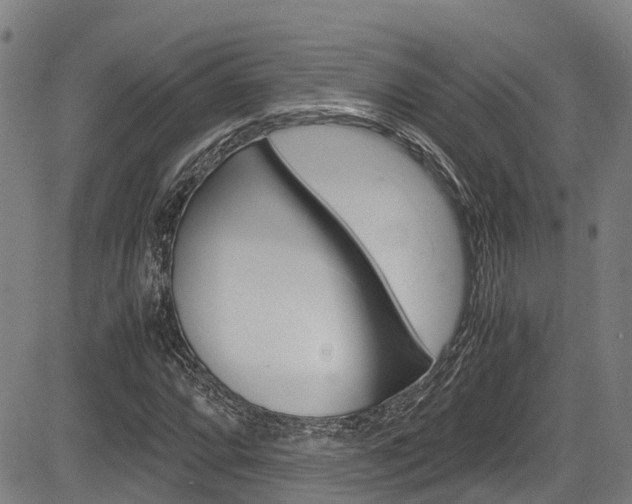 X0000083561064200702090809