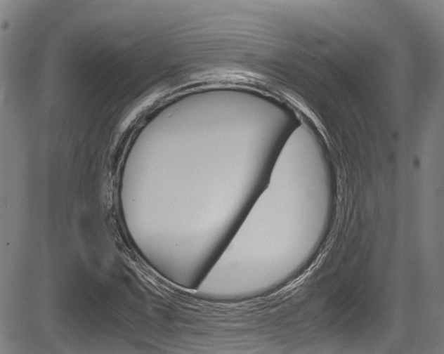 X0000083561067200702090809