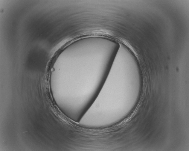 X0000083561071200702090809