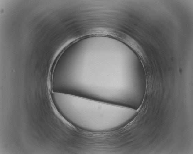 X0000083561084200702090809