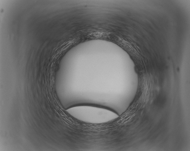X0000083561105200702090808