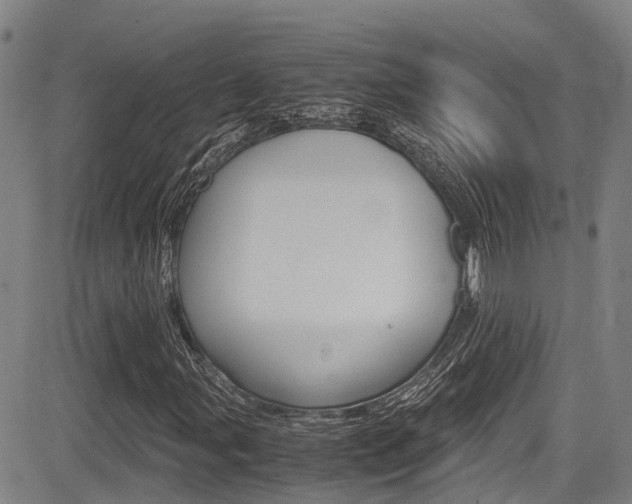 X0000083561107200702090808