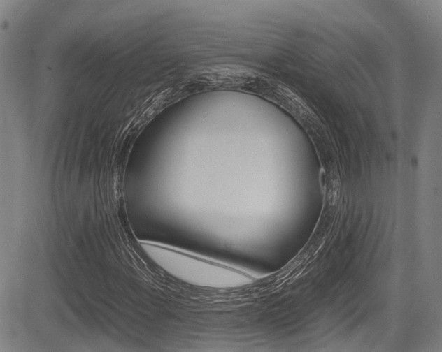 X0000083561108200702090808
