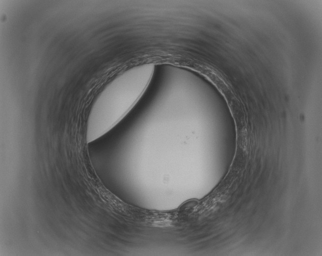 X0000083561111200702090808